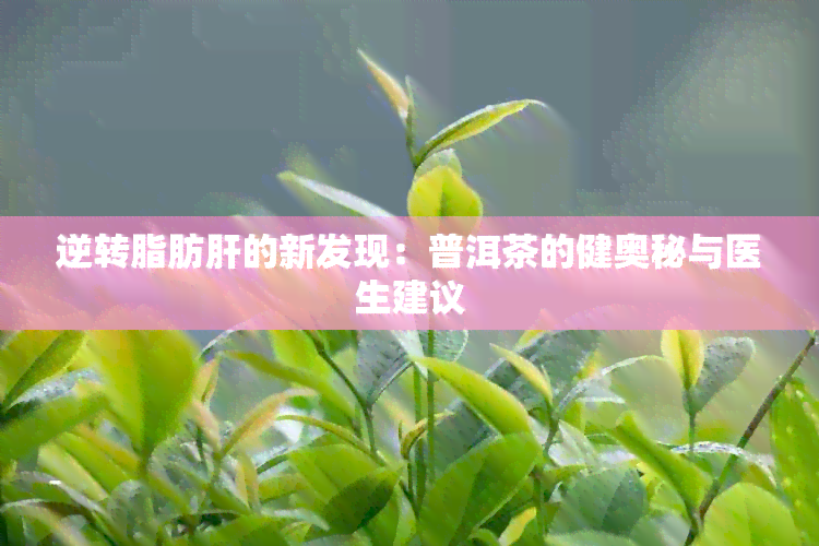 逆转脂肪肝的新发现：普洱茶的健奥秘与医生建议