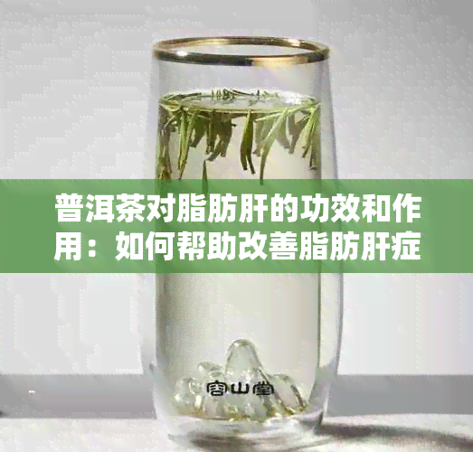 普洱茶对脂肪肝的功效和作用：如何帮助改善脂肪肝症状？