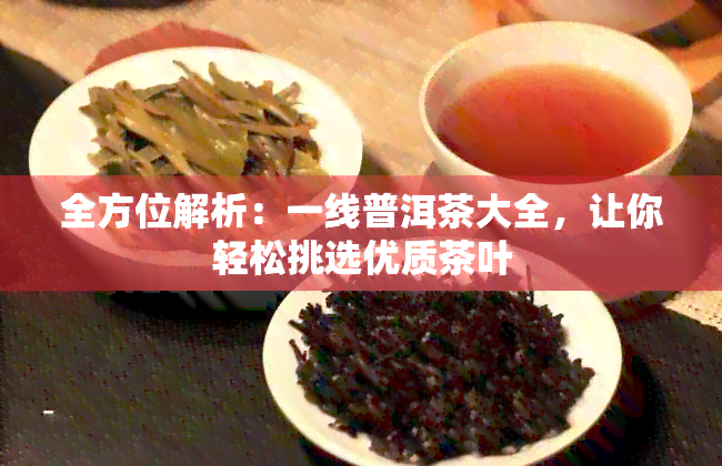 全方位解析：一线普洱茶大全，让你轻松挑选优质茶叶