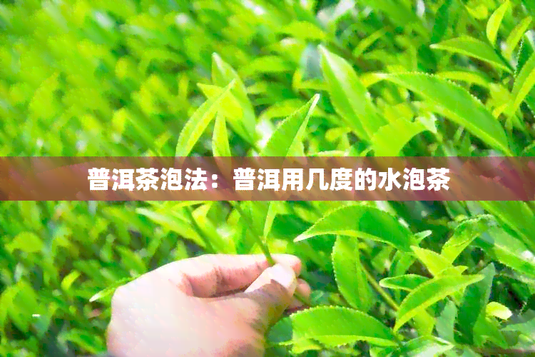 普洱茶泡法：普洱用几度的水泡茶