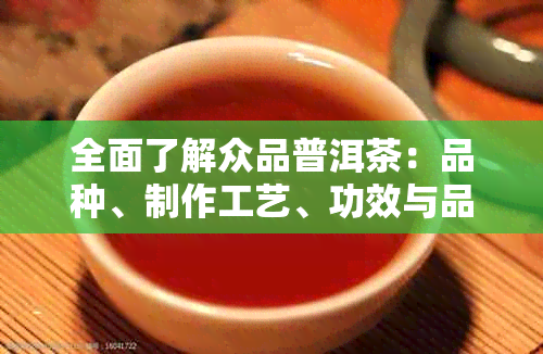 全面了解众品普洱茶：品种、制作工艺、功效与品饮方法的详细介绍