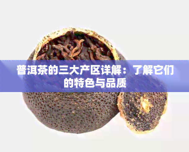 普洱茶的三大产区详解：了解它们的特色与品质