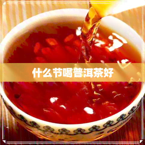 什么节喝普洱茶好