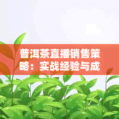 普洱茶直播销售策略：实战经验与成功案例分析