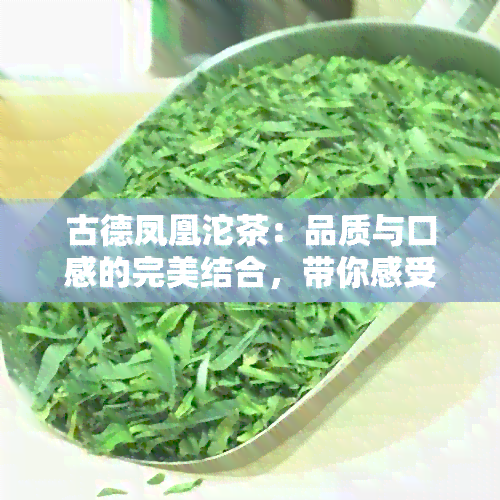 古德凤凰沱茶：品质与口感的完美结合，带你感受普洱茶的独特魅力