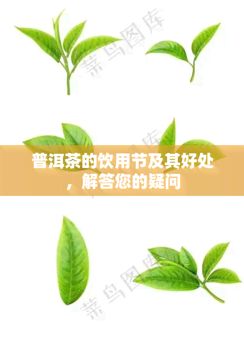 普洱茶的饮用节及其好处，解答您的疑问