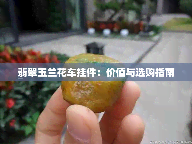 翡翠玉兰花车挂件：价值与选购指南