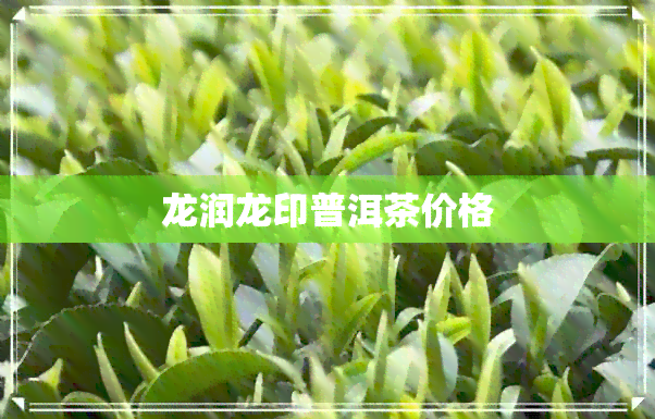 龙润龙印普洱茶价格