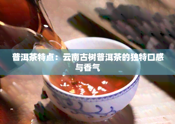 普洱茶特点：云南古树普洱茶的独特口感与香气