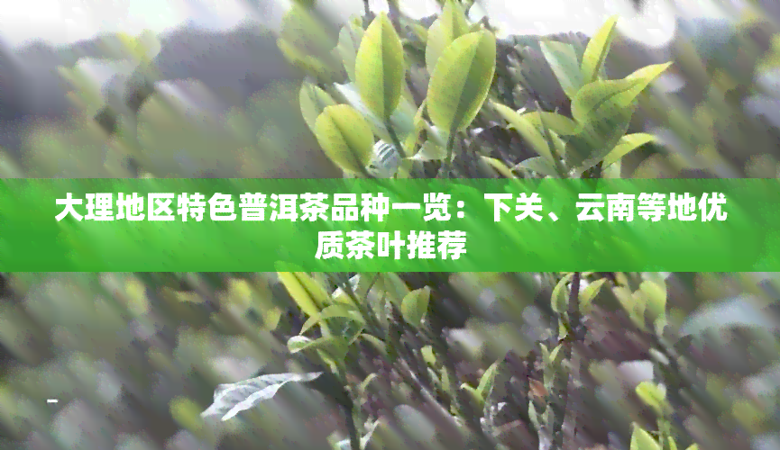 大理地区特色普洱茶品种一览：下关、云南等地优质茶叶推荐