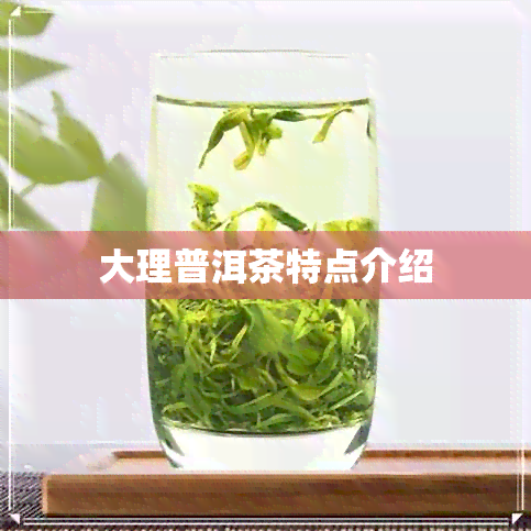 大理普洱茶特点介绍