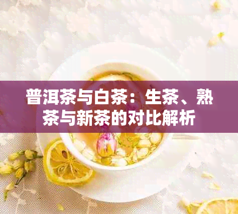 普洱茶与白茶：生茶、熟茶与新茶的对比解析