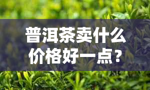 普洱茶卖什么价格好一点？ - 适合初学者的普洱茶价位指南