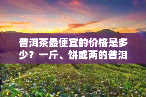 普洱茶更便宜的价格是多少？一斤、饼或两的普洱茶更便宜价是多少？