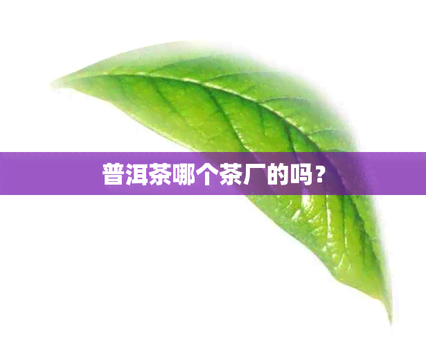 普洱茶哪个茶厂的吗？