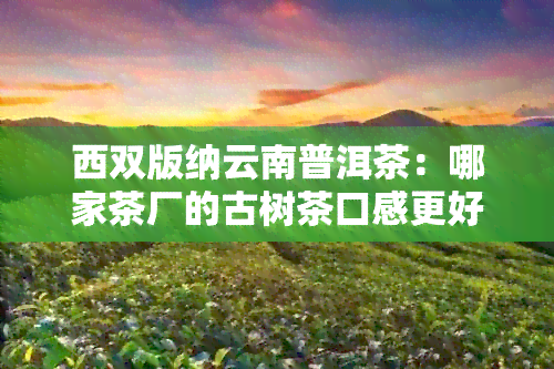 西双版纳云南普洱茶：哪家茶厂的古树茶口感更好？