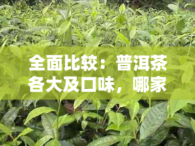 全面比较：普洱茶各大及口味，哪家更适合您的口味？