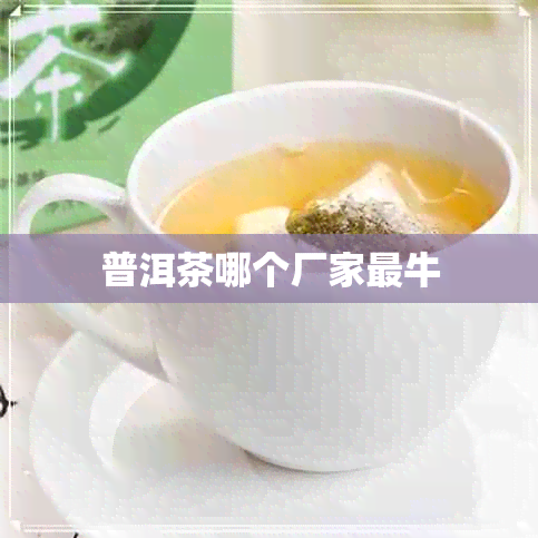 普洱茶哪个厂家最牛