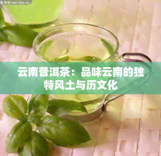 云南普洱茶：品味云南的独特风土与历文化