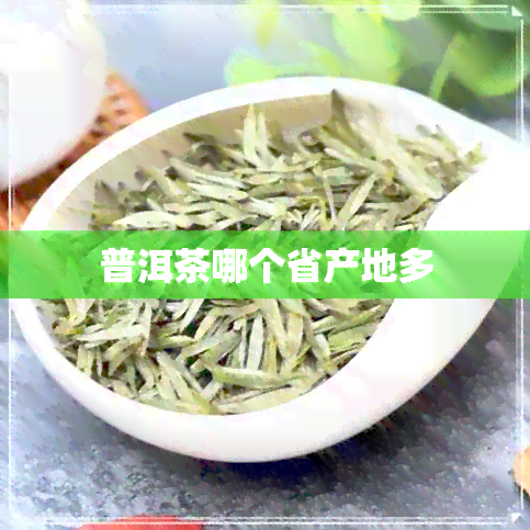 普洱茶哪个省产地多