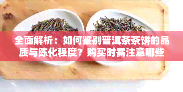 全面解析：如何鉴别普洱茶茶饼的品质与陈化程度？购买时需注意哪些因素？