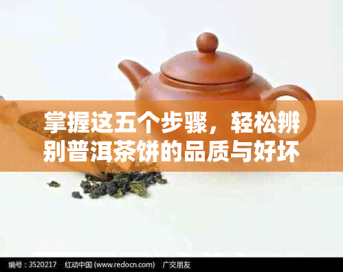 掌握这五个步骤，轻松辨别普洱茶饼的品质与好坏