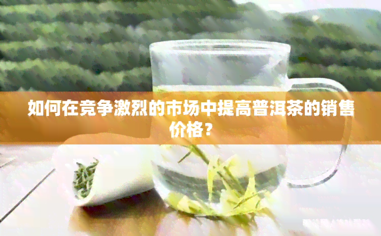 如何在竞争激烈的市场中提高普洱茶的销售价格？