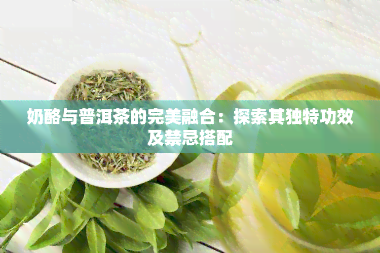 奶酪与普洱茶的完美融合：探索其独特功效及禁忌搭配