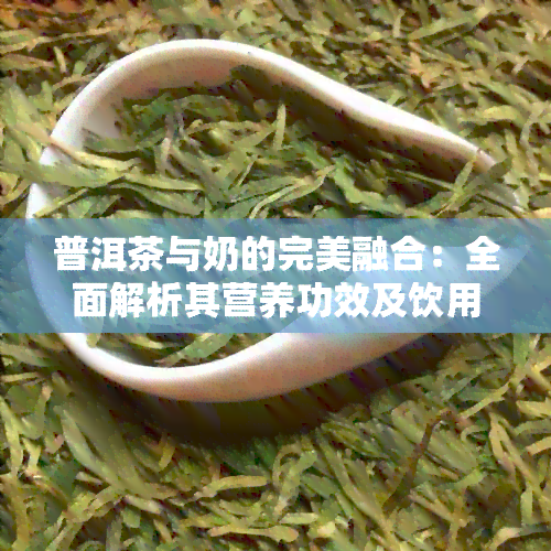 普洱茶与奶的完美融合：全面解析其营养功效及饮用方法