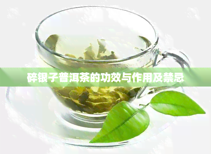 碎银子普洱茶的功效与作用及禁忌