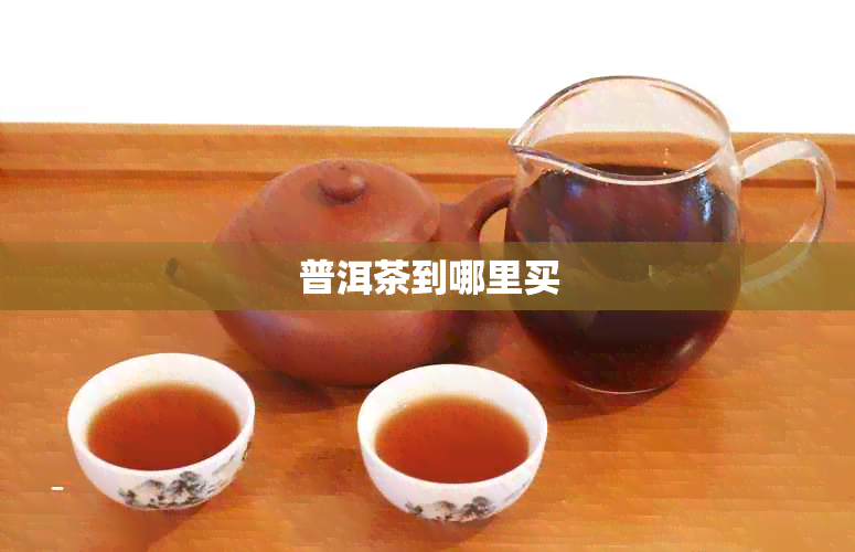 普洱茶到哪里买