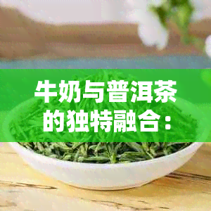 牛奶与普洱茶的独特融合：一款新型养生饮品探究