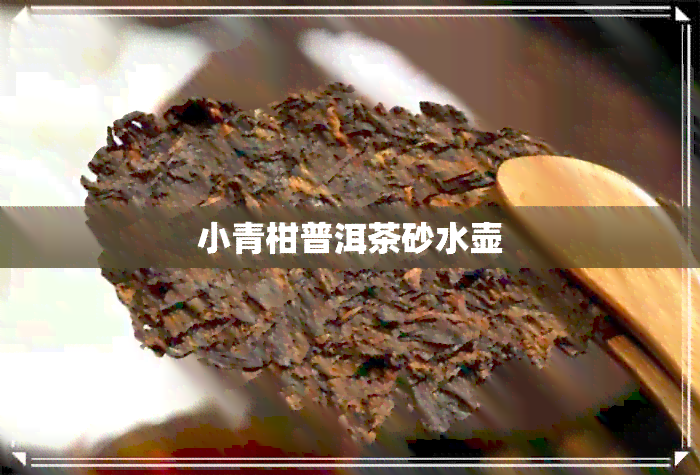 小青柑普洱茶砂水壶