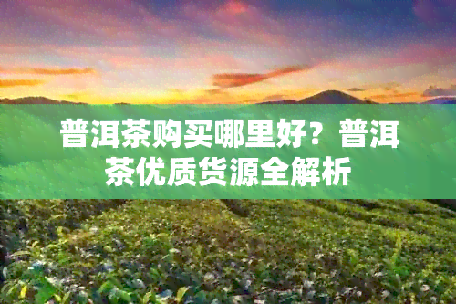 普洱茶购买哪里好？普洱茶优质货源全解析