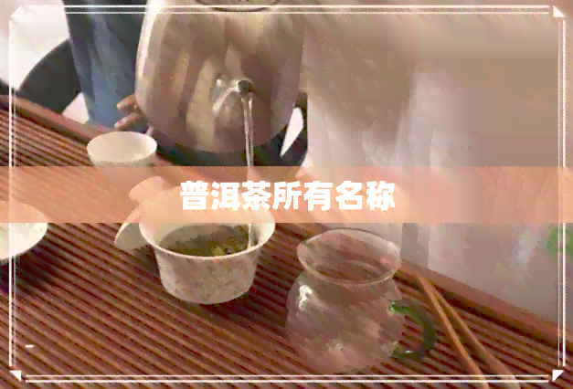 普洱茶所有名称