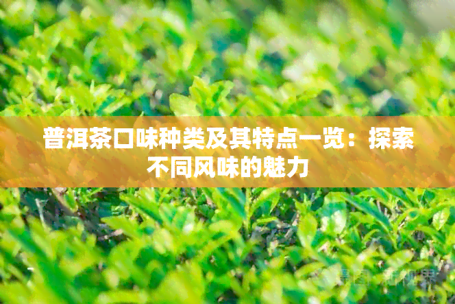 普洱茶口味种类及其特点一览：探索不同风味的魅力