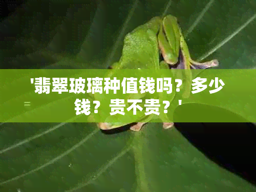 '翡翠玻璃种值钱吗？多少钱？贵不贵？'