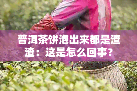 普洱茶饼泡出来都是渣渣：这是怎么回事？