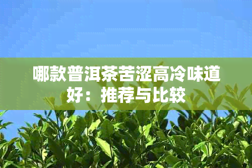 哪款普洱茶苦涩高冷味道好：推荐与比较