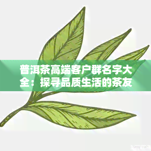 普洱茶高端客户群名字大全：探寻品质生活的茶友集结地