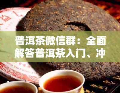 普洱茶微信群：全面解答普洱茶入门、冲泡、品鉴、收藏等常见问题及技巧分享