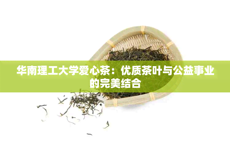 华南理工大学爱心茶：优质茶叶与公益事业的完美结合