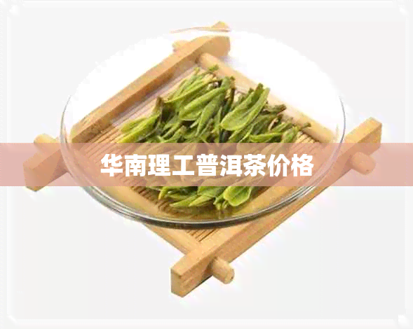 华南理工普洱茶价格