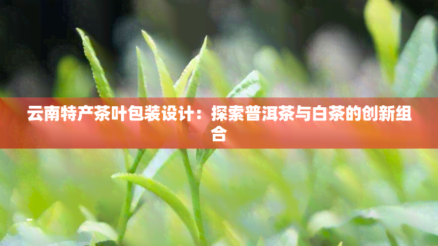 云南特产茶叶包装设计：探索普洱茶与白茶的创新组合