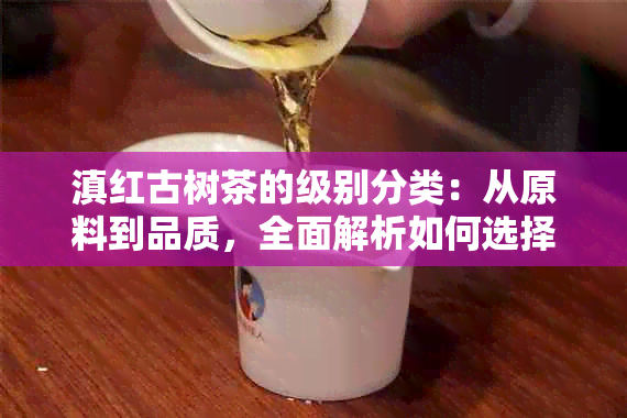 滇红古树茶的级别分类：从原料到品质，全面解析如何选择与品鉴