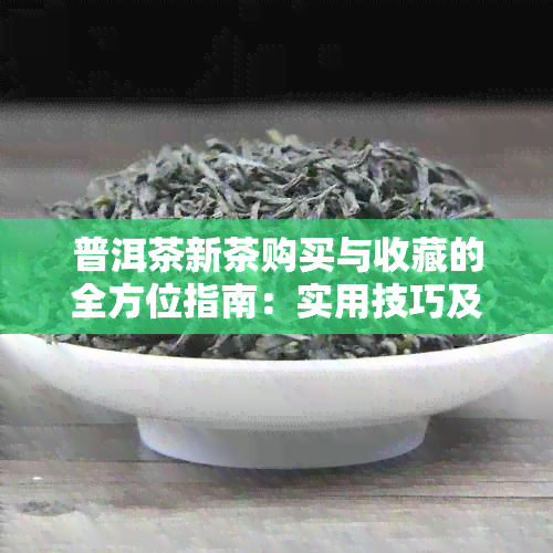 普洱茶新茶购买与收藏的全方位指南：实用技巧及选购策略