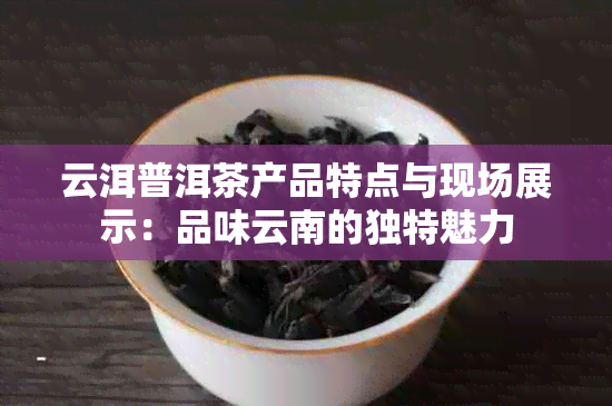 云洱普洱茶产品特点与现场展示：品味云南的独特魅力