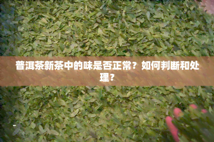 普洱茶新茶中的味是否正常？如何判断和处理？