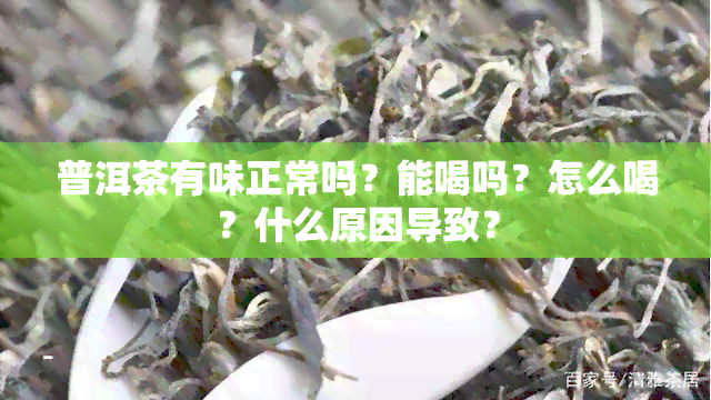 普洱茶有味正常吗？能喝吗？怎么喝？什么原因导致？