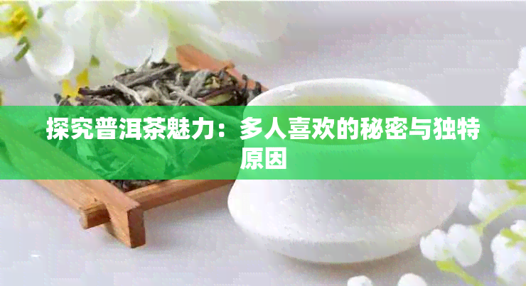 探究普洱茶魅力：多人喜欢的秘密与独特原因